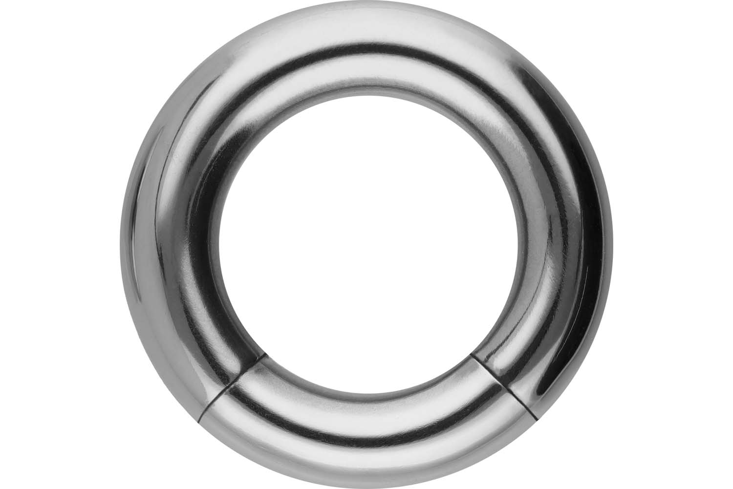 Titan Segmentring von Piercingline